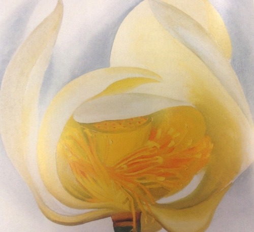 retroavangarda: Georgia O’Keeffe – White Lotus