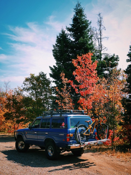 dirt-legends:Fall drives to autumn trail