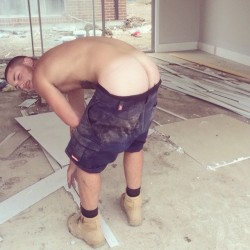 tradiecock:  j6i9mmy:  cheeky tradie  THE