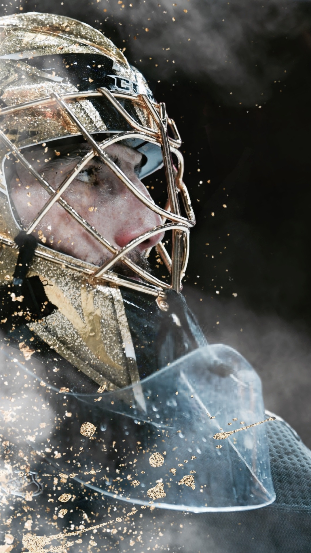 Download Marc Andre Fleury Of Vegas Golden Knights Wallpaper