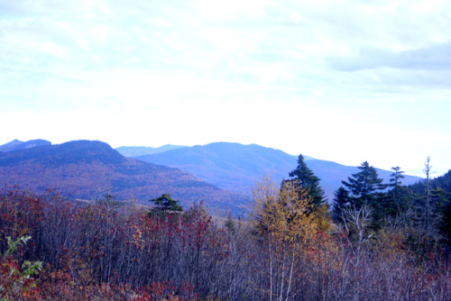 twilightsolo-photography: White Mountain National Forest in AutumnTaken from an overlook on the Kanc