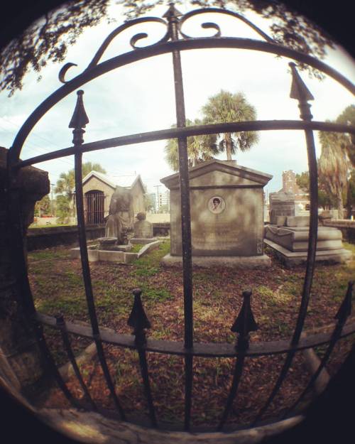 nellymirikitani: Fish eye gate entrance. #tampaflorida #oaklawncemetery #cemetery #fisheye #nellymirikitani  (at Oaklawn Cemetery) 