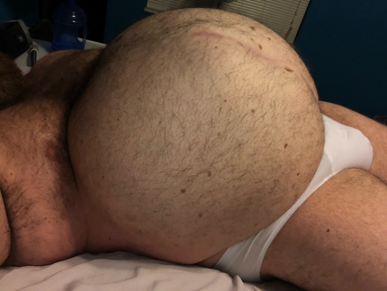 gainerbull:  Bulls love belly rubs 🐂