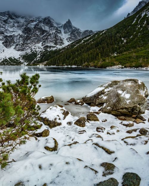 Author: Jacek Serbinowski - Fotografia na mój sposób, public domain. #winter#snow#nature