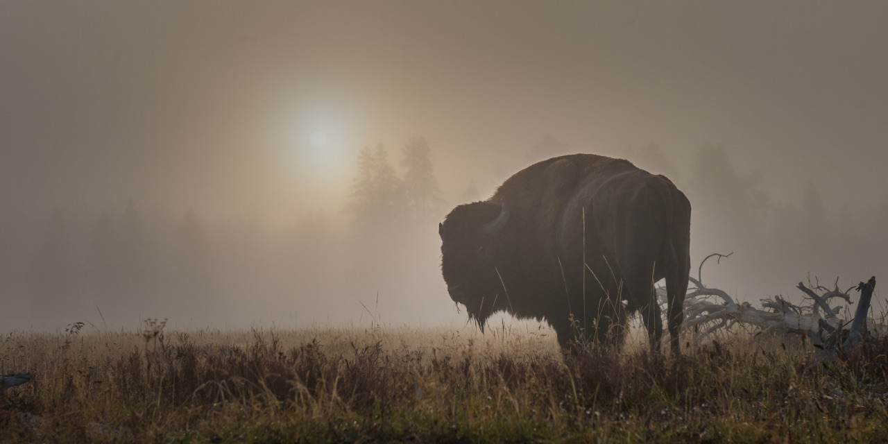 old-hopes-and-boots:  by Ric Horst  