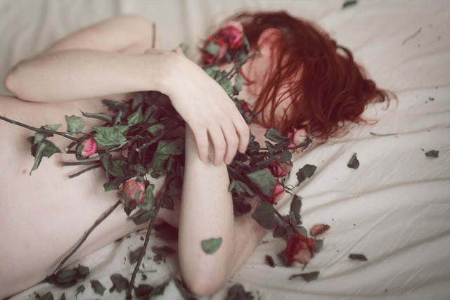 se-recipere:  dried roses by Kristina di Enes on Flickr. 