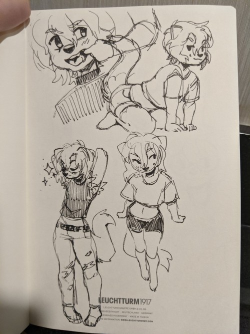Sketch page of an anthro ferret femboy.