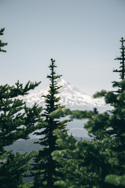 hannahkemp:  Mount Hood//Oregon July 2017Prints//Instagram