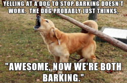 tastefullyoffensive:Dog logic. (image via