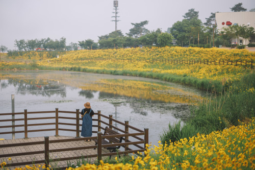 2022-05-22Haman Akyang Eco ParkCanon EOS R3 + RF50mm f1.2L