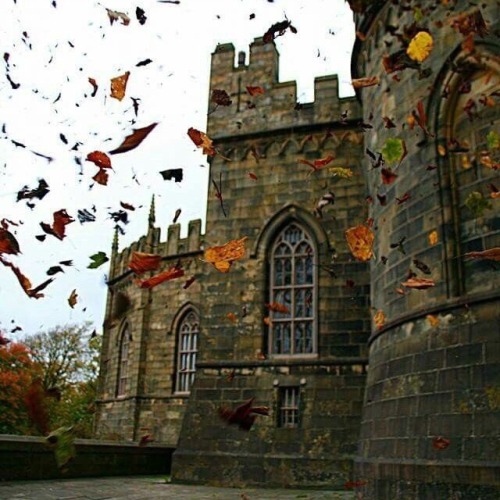 pippaofhainault:moodboard: modern house of lancaster