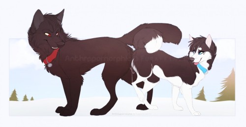 yiffz:Ferals