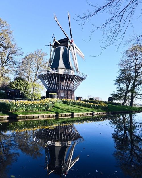  Keukenhof : le plus beau parc printanier du monde avec 7 millions de bulbes Un incontournable des P