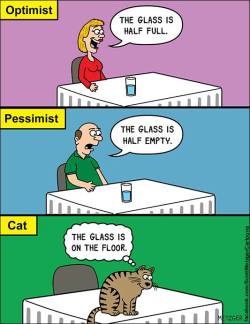 catsbeaversandducks:Cat Comics by Scott