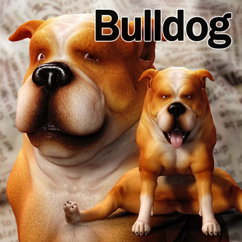 Get barkin’ with Chocolates new Bulldog for Poser 8 Dog!  Use of bones and weight