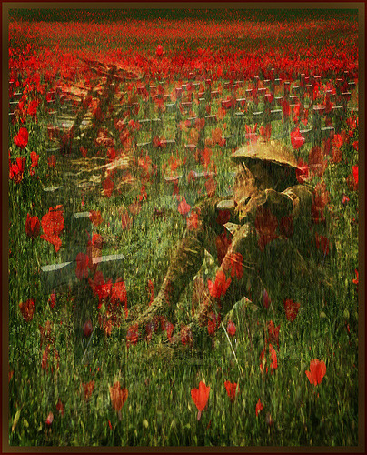 wildheartgirls:“We honour those who have given their life serving Canadians and helping people