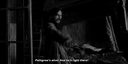 dailysiriusblack: Not you! Your rat!