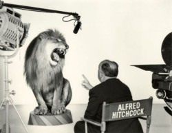 melissem:  Alfred Hitchcock directing MGM’s roaring lion
