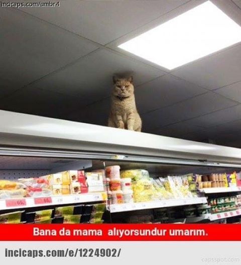 Bana da mama alıyorsundur umarım.