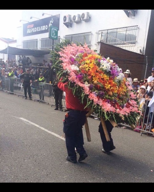 Porn photo #feriadeflores2017 #desfiledelossilleteros