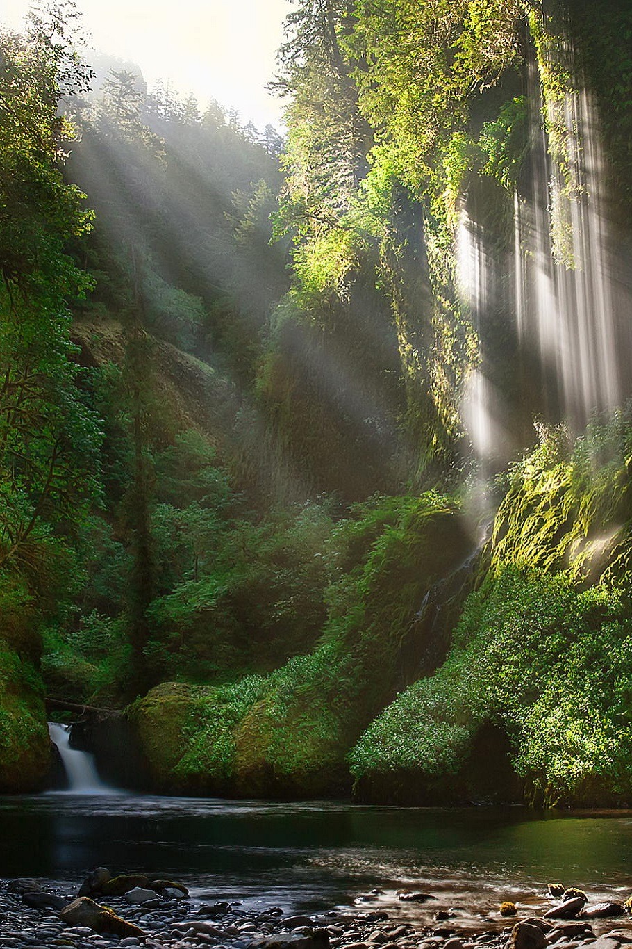 sublim-ature:  Eagle Creek, OregonGreg Stokesbury 