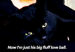 nonormynolife:  [x] 