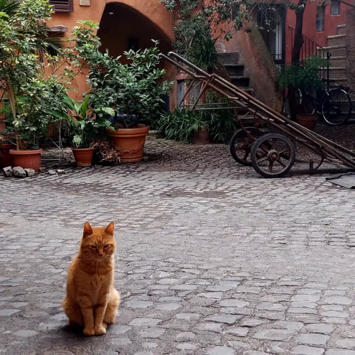 One Of The Most Characteristic Views Of Rome