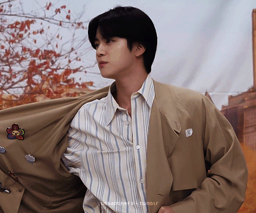 A V Extra Model