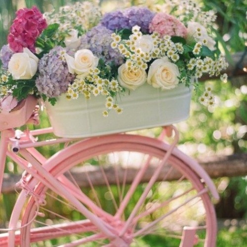 teensapphicmagazine:moodboard | summer sapphic | pink & yellow