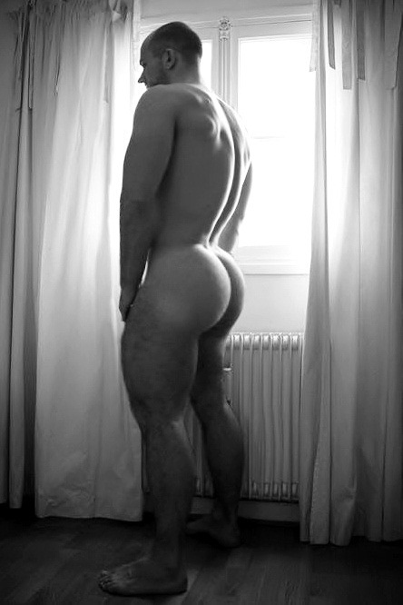 bearsandbliss:  haus-o-ass: Bears &amp; Bliss Cock, Ass &amp; Cum bearsandbliss.tumblr