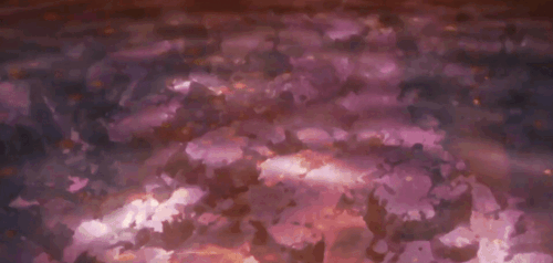 milkshake-fairy:Sasuke & Naruto || Naruto Shippuden 477