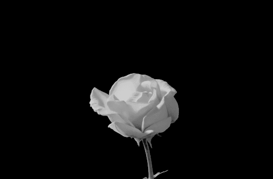 Rainer Maria Rilke I Live My Life In Widening Circles (Ich Lebe Mein Leben In Wachsenden Ringen) ; Poetry