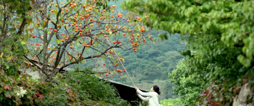 chung-king: 52 Films by Women 2018 #27 Little Forest, 2018 dir. Yim Soon-rye