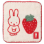 snoopyfc
