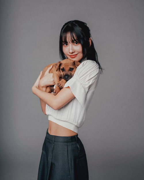TWICE For Buzzfeed Celeb 2024'The Puppy Interview'