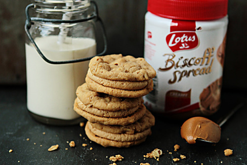 gastrogirl:  biscoff sandwich cookies.