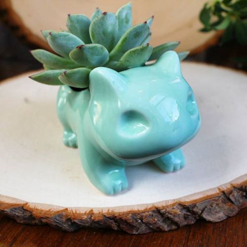 rageofthenerd: My new bulbasaur planter has to be one of the cutest things I own (via Phyona @rageof