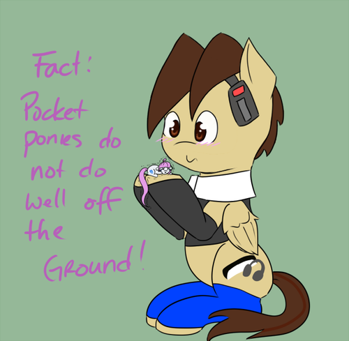 Ask Pocket Sized!