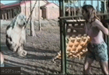Dog tries to swing like a human