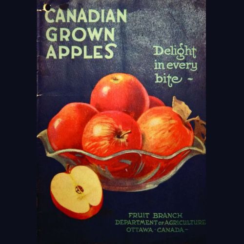 In honor of Johnny Appleseed’s birthday, we present the simple yet gorgeous cover to a recipe book p