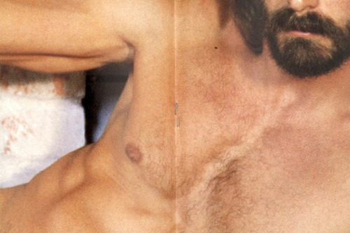 fohk: Male Centerfold, 2012 by Pacifico Silano by Jen Bekman on Flickr. 