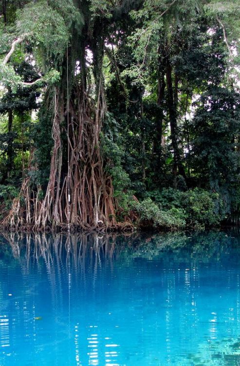 Matavulu Blue Hole, Espiritu Santo Island / Vanuatu (by Chris&Steve).