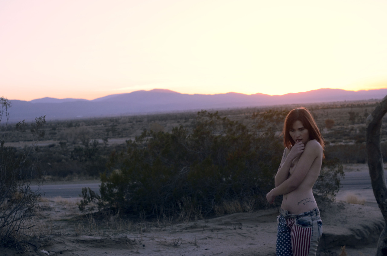 gingerlionheart:  msnacke | lionheartpalmdale ca