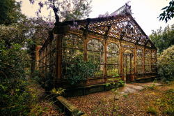 gatsbywise:  pepperalley:  Abandoned Victorian Greenhouse by Nicola Bertellotti 