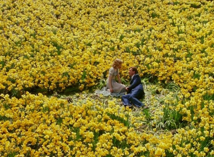 becomingyellow:  Yellow