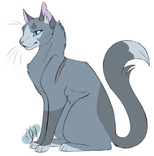 M.Jay Warriors Art! — 100 Warrior Cats Challenge 37 - Scourge I