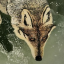 deaddog28
