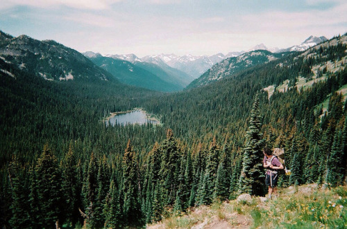 whisped:17510023 by Kellen Mohr on Flickr.