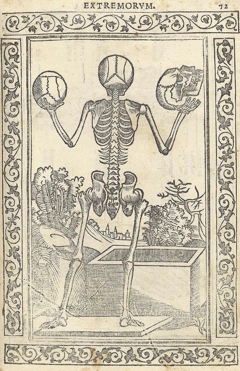 magictransistor:  Jacopo Berengario da Carpi, Isagogae Breues (Beneditcus Hector),