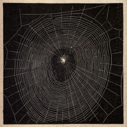 nemfrog:  Spider’s web. Source. 1896